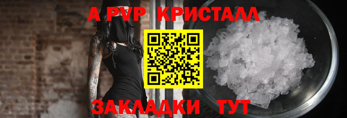 A-PVP СК Россошь