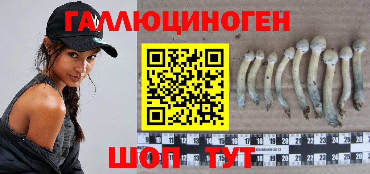 Галлюциногенные грибы MAGIC MUSHROOMS  Вход с VPN  Псилоцибиновые грибы Psilocybine cubensis  Россошь 